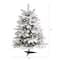 3ft. Pre-Lit Flocked North Carolina Fir Artificial Christmas Tree with Warm White Lights